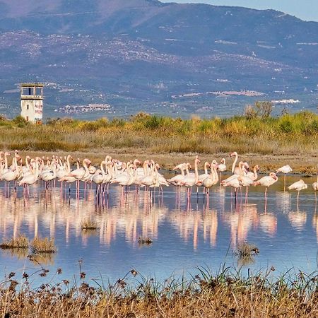 נאה פוטידאה Flamingo View Suites & Villas מראה חיצוני תמונה