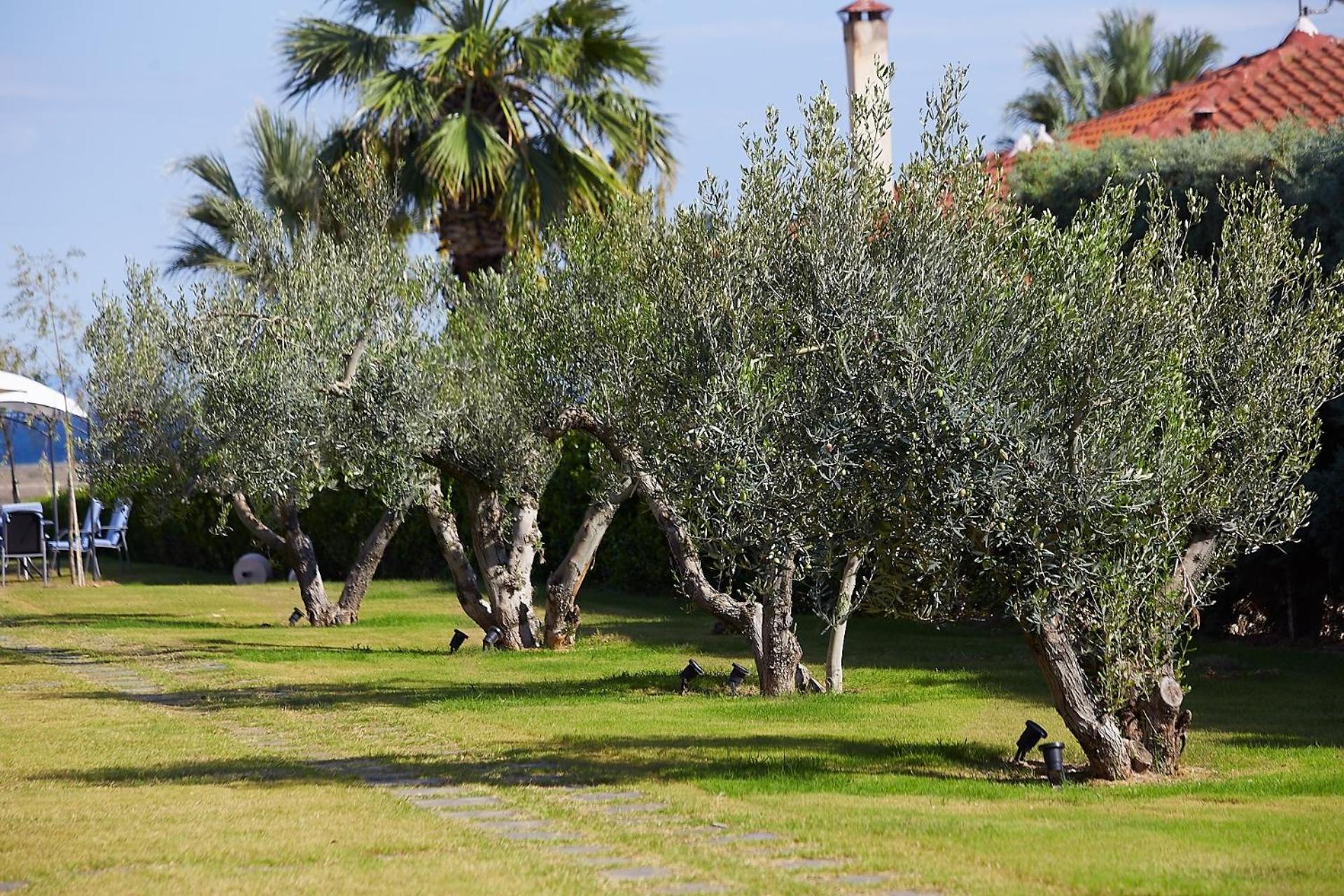 נאה פוטידאה Flamingo View Suites & Villas מראה חיצוני תמונה